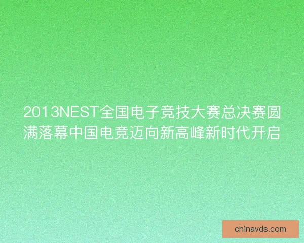 2013NEST全国电子竞技大赛总决赛圆满落幕中国电竞迈向新高峰新时代开启