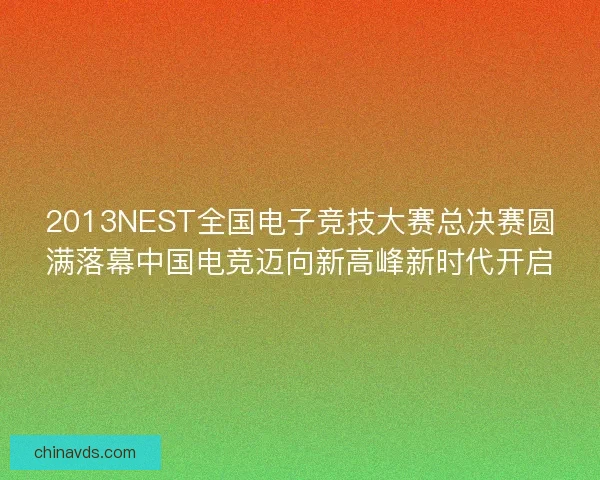 2013NEST全国电子竞技大赛总决赛圆满落幕中国电竞迈向新高峰新时代开启